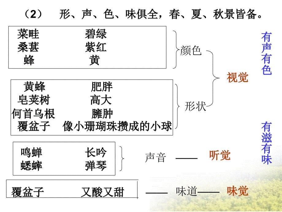 从百草园到三味书屋定用-副本_第5页