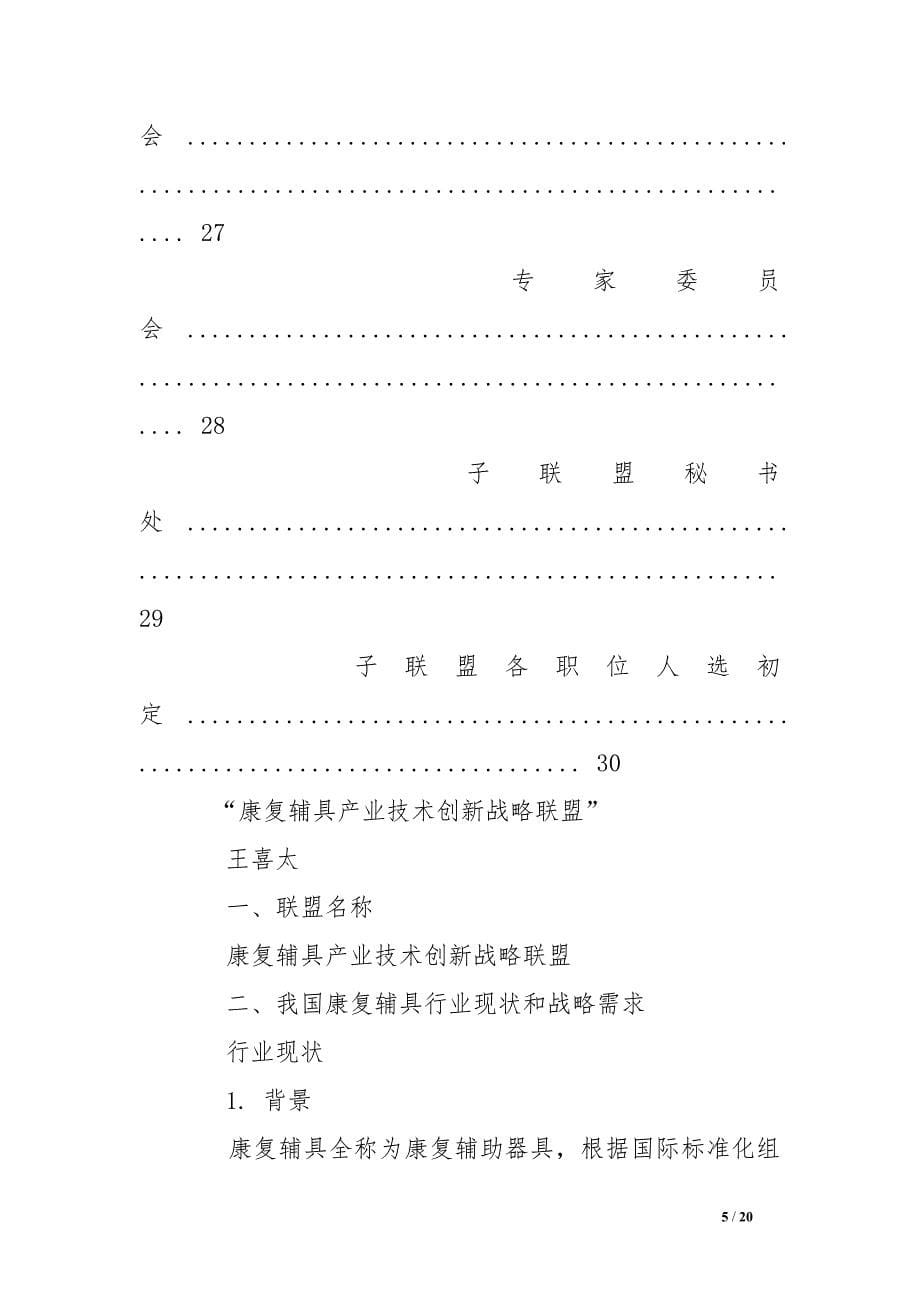 康复辅具产业销售计划_第5页