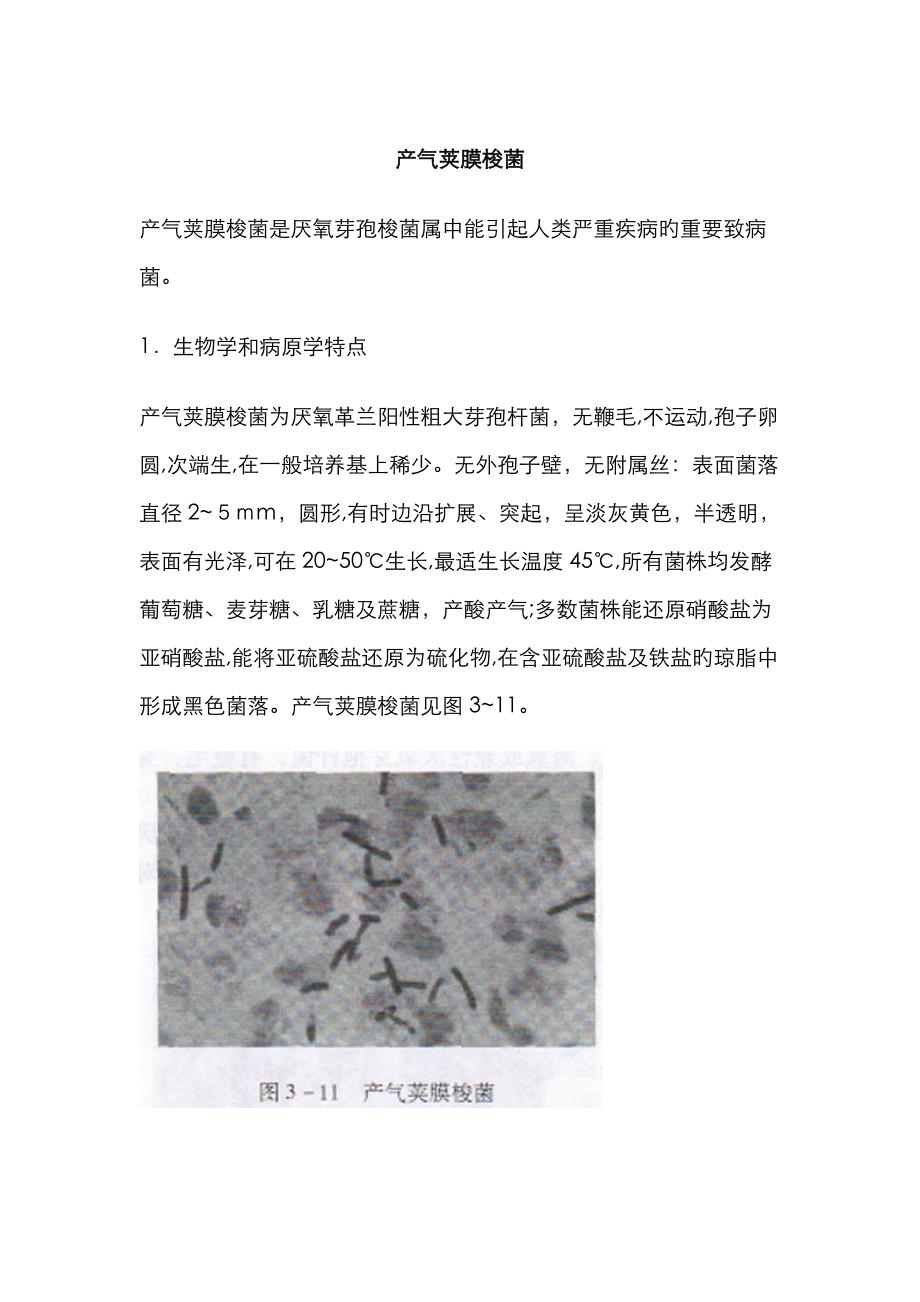 产气荚膜梭菌_第1页