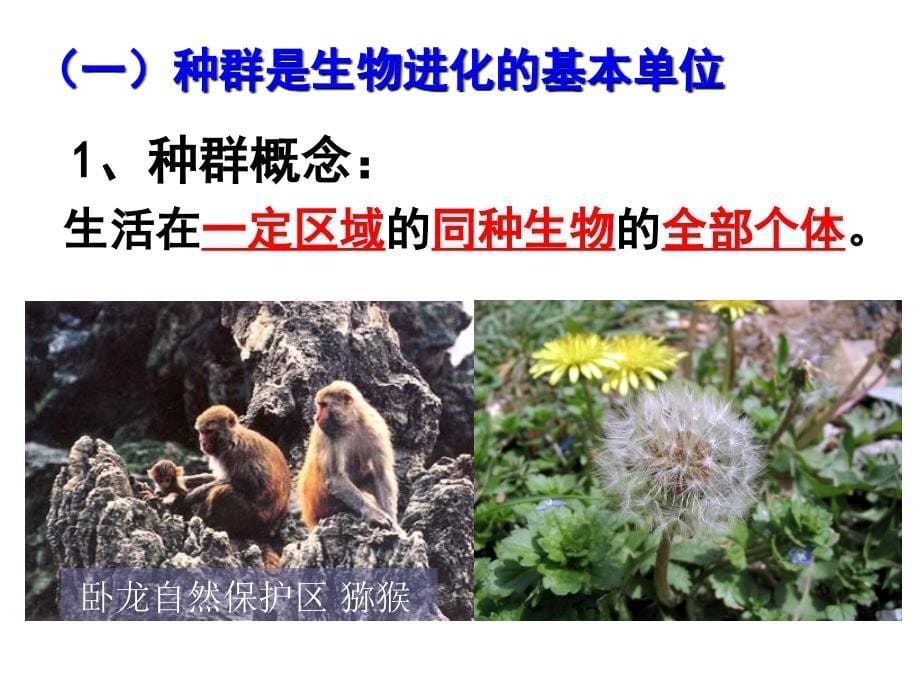 现代生物进化理论的主要内容（上课用）ppt课件_第5页