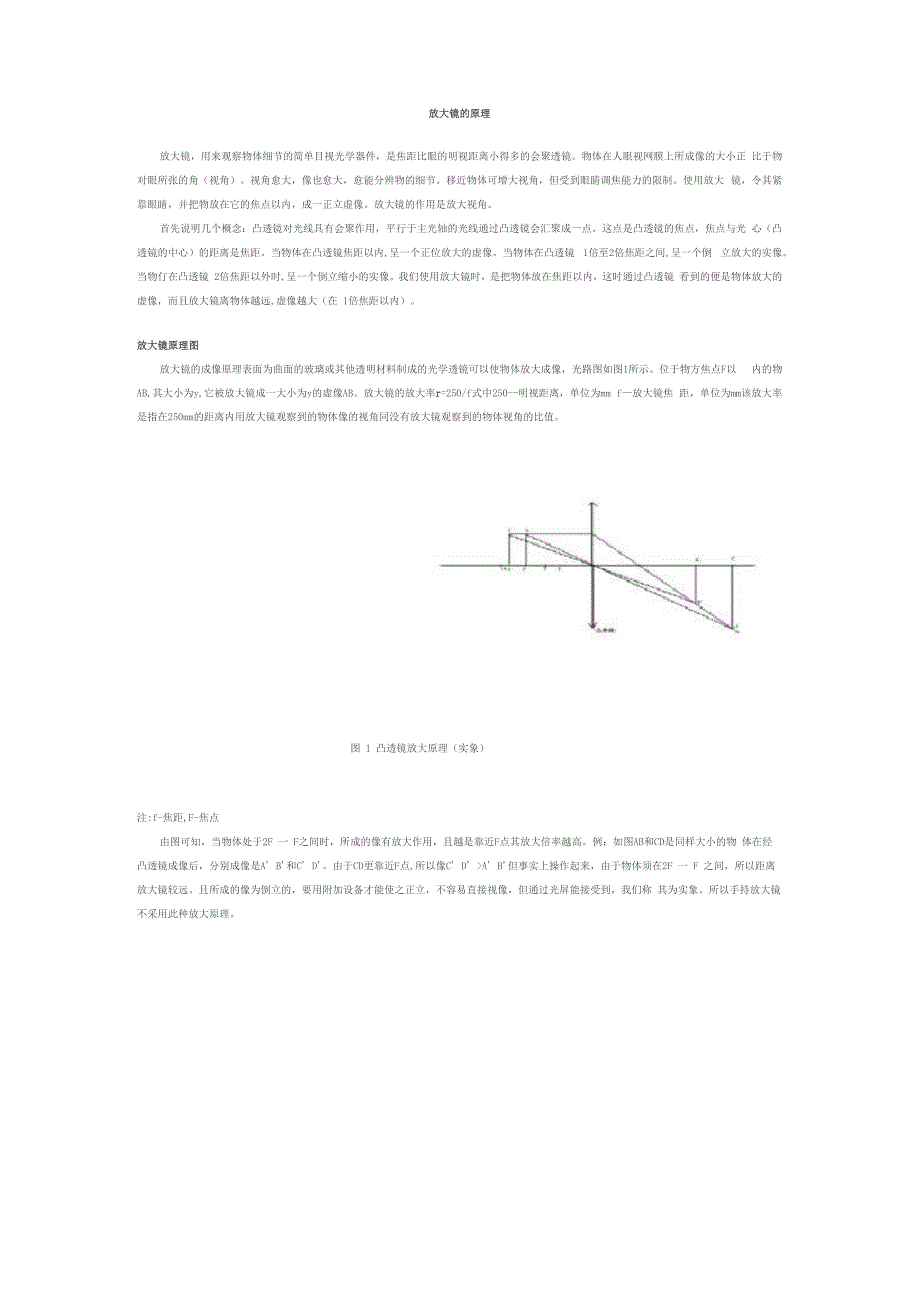 放大镜的原理_第1页