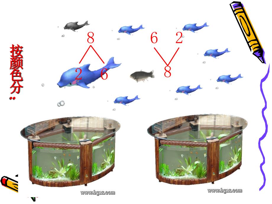 幼儿园大班数学_8的组成.ppt_第4页