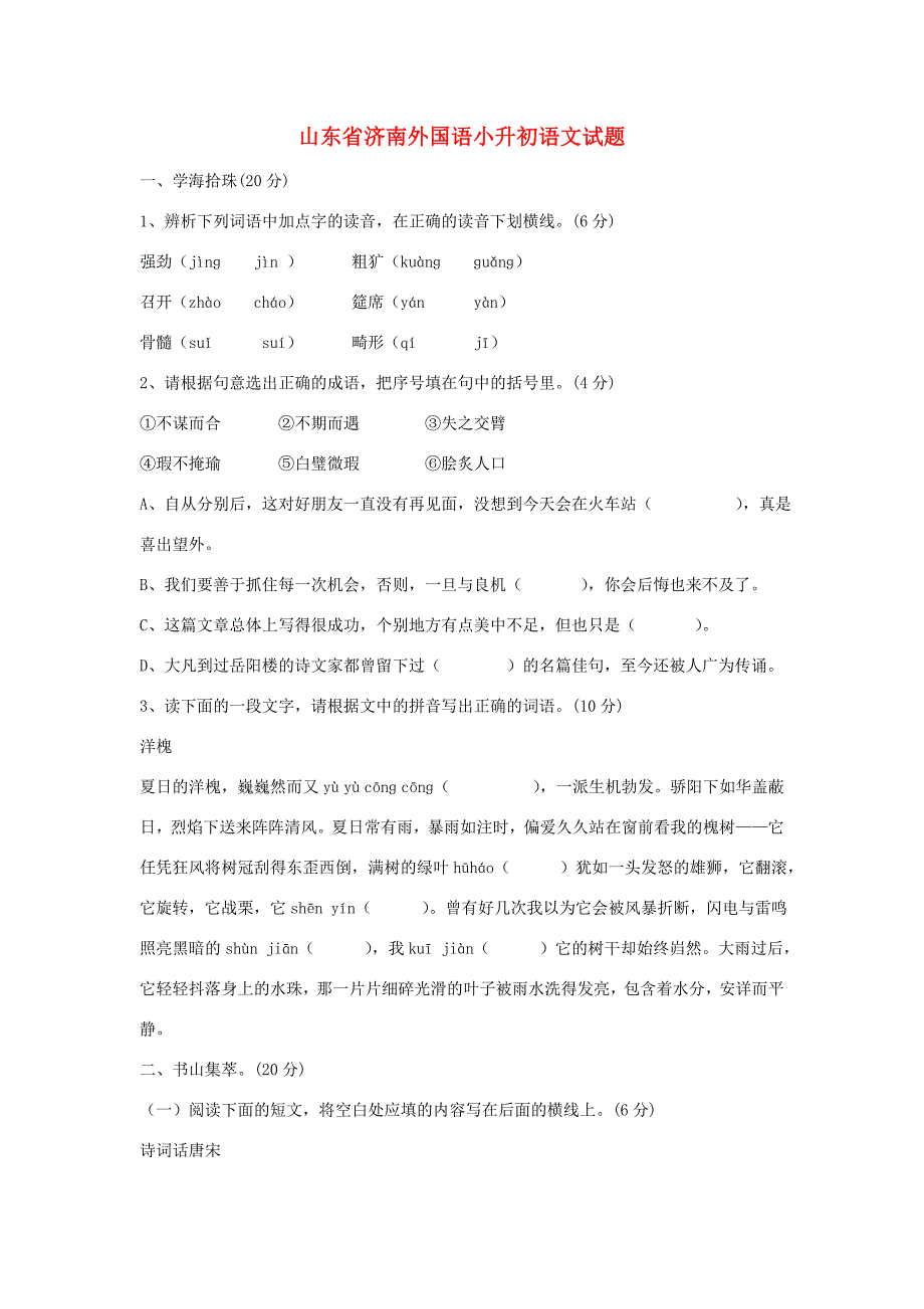 山东省济南外国语小升初语文试题3试题_第1页