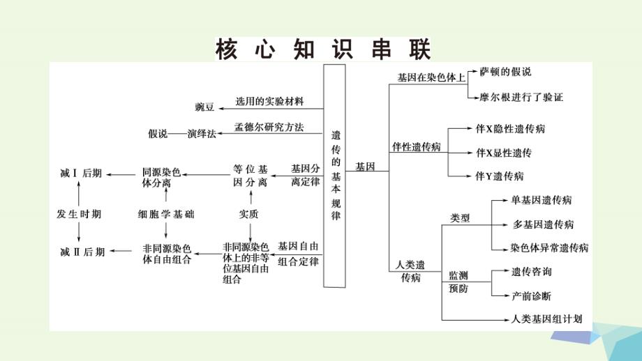 通用版2017届高考生物二轮复习第1部分板块2遗传专题7遗传的基本规律和伴性遗传课件_第3页