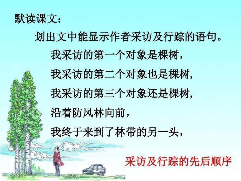 采访对象是棵树PPT_第5页