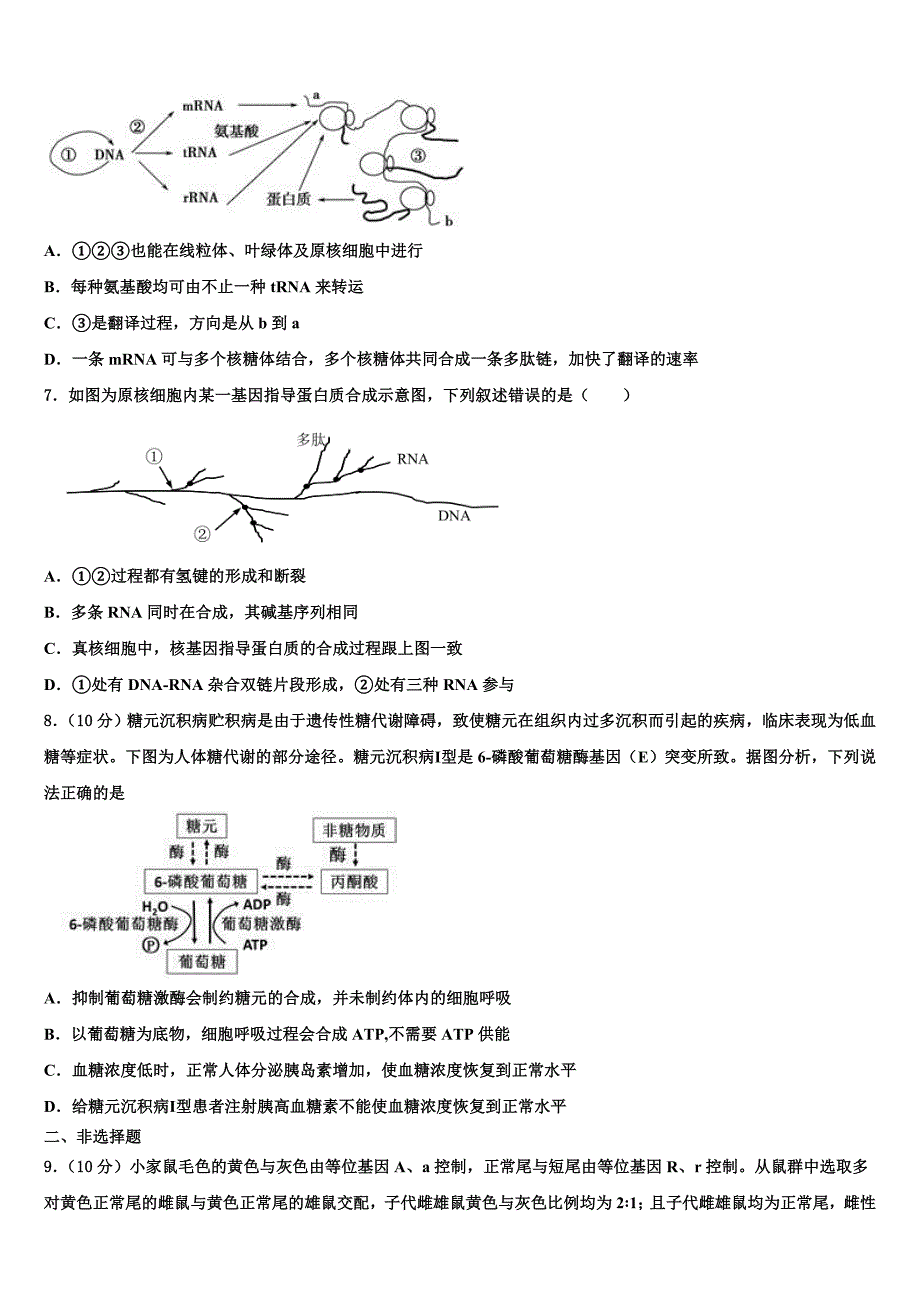 2023年锡林郭勒市重点中学高三（最后冲刺）生物试卷（含答案解析）.doc_第2页