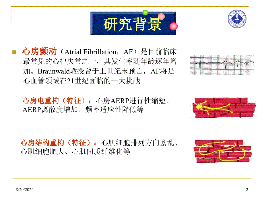 吡格列酮对糖尿病兔心房重构的影响和机制研究教案_第2页