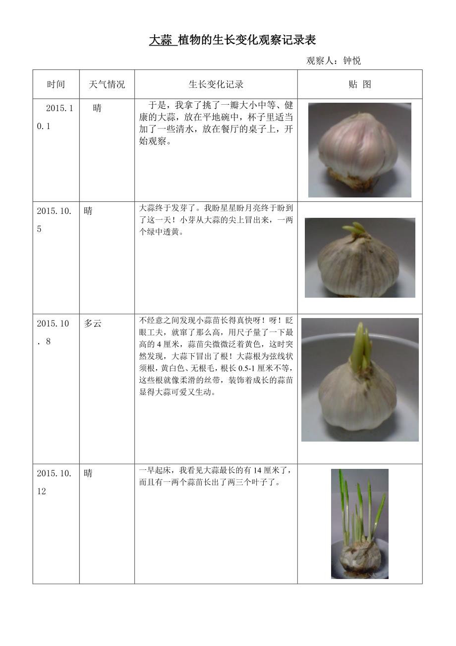 大蒜-植物的生长变化观察记录表.docx_第1页