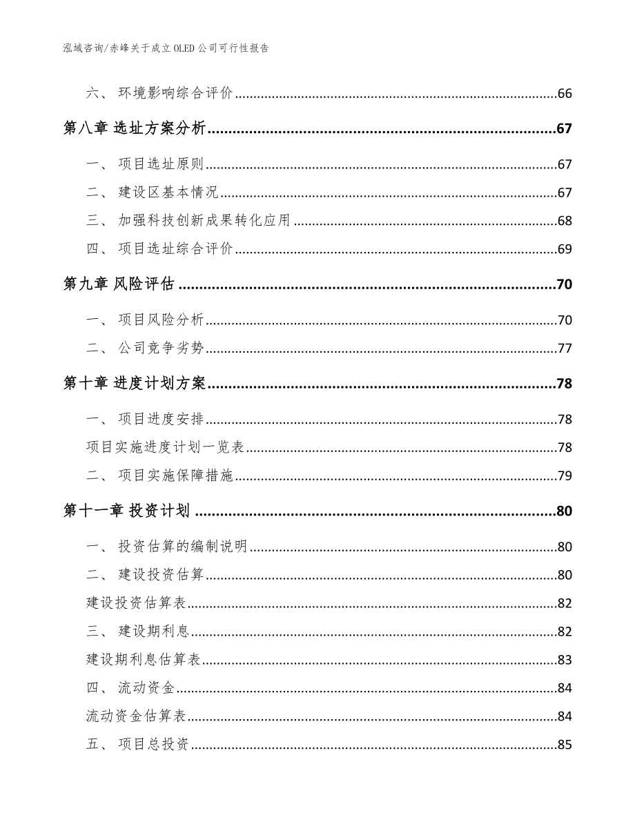 赤峰关于成立OLED公司可行性报告（范文模板）_第4页