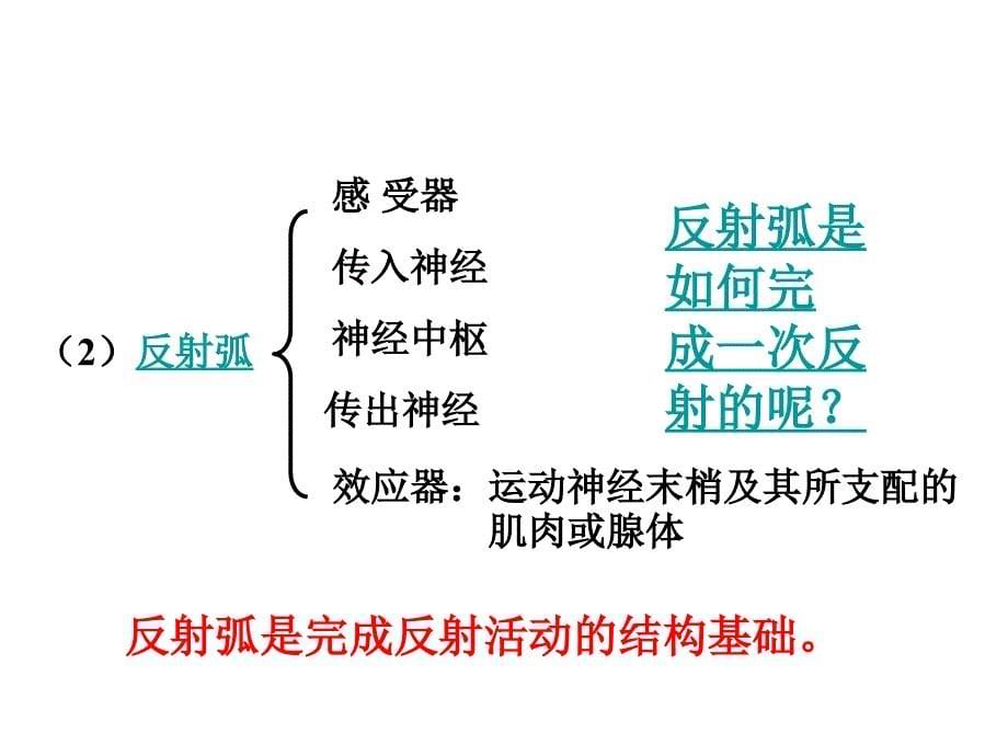 初中三年级生物上册第一课时课件_第5页