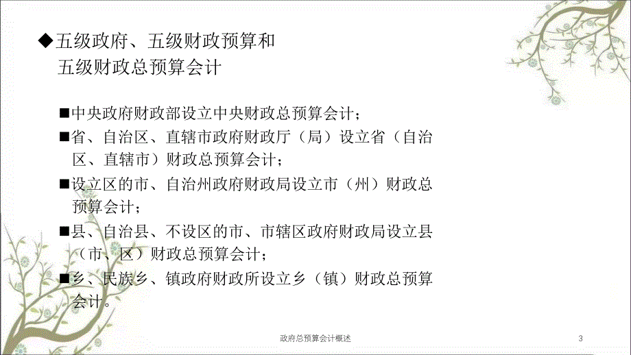 政府总预算会计概述课件_第3页