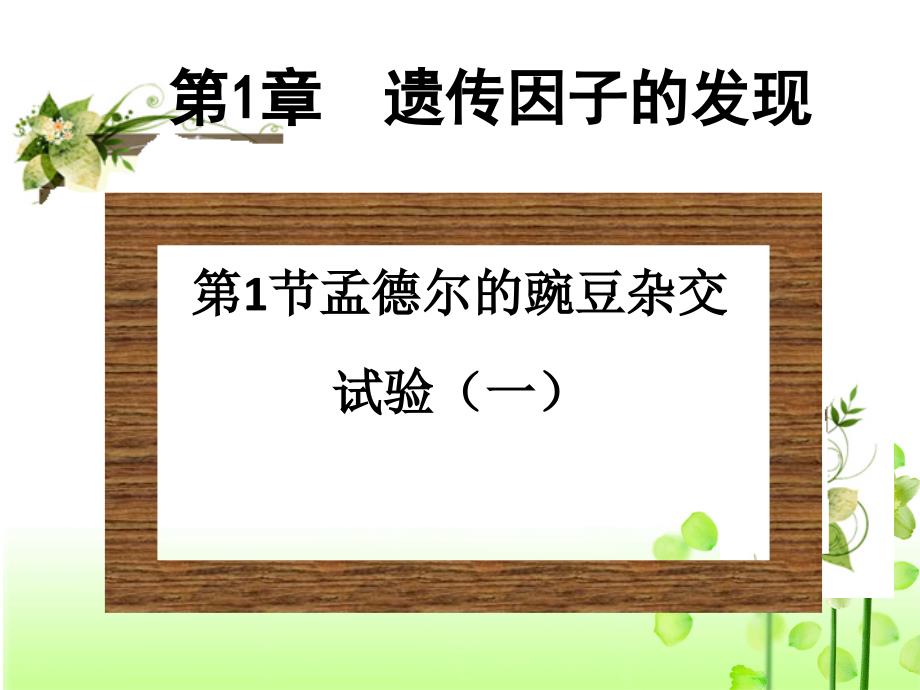 必修二一1孟德尔杂交试验一模板课件_第2页