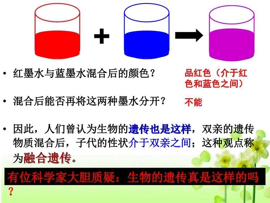 必修二一1孟德尔杂交试验一模板课件_第5页