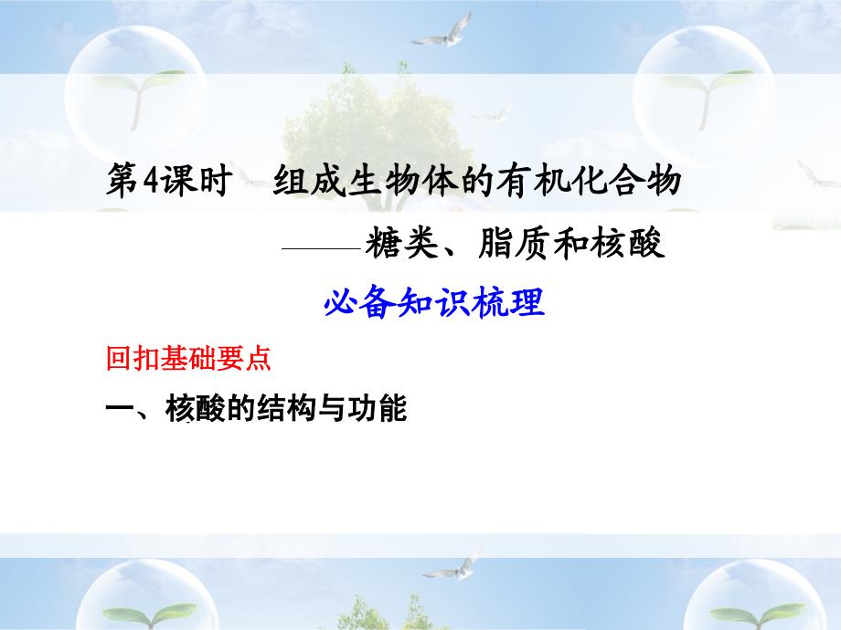 第4课时组成生物体的有机化合物_第1页