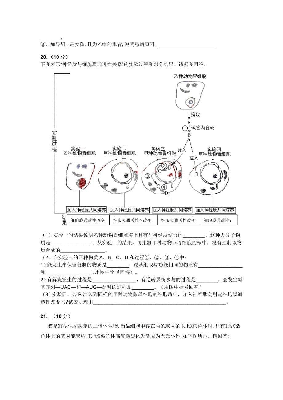 2012届高三上学期期中考试(生物).doc_第5页