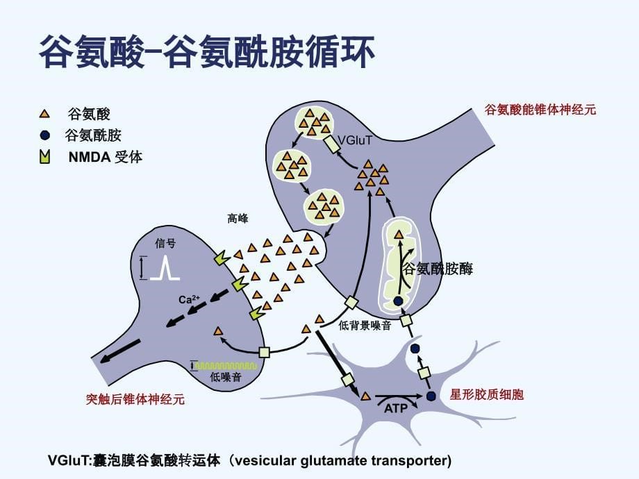 教学分析AD治疗新进展课件_第5页