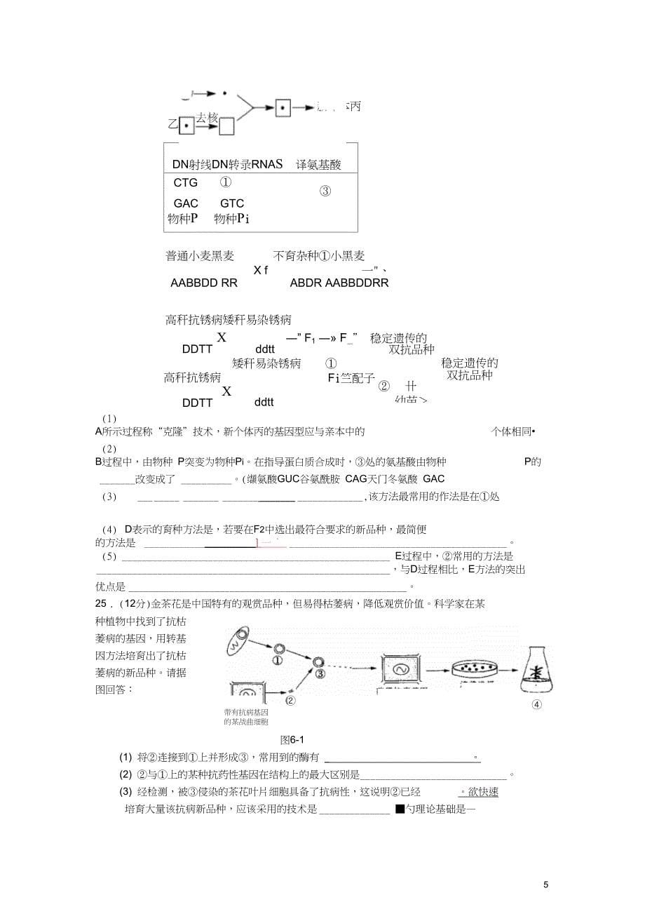 广东省中山市高中生物第6章从杂交育种到基因工程3单元测试无答案新人教版必修2_第5页