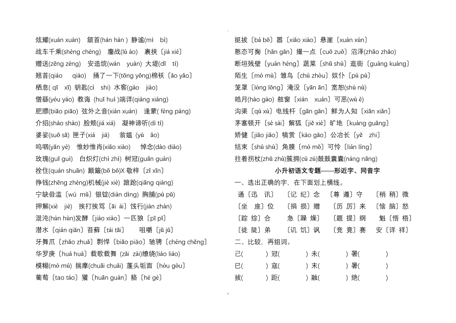 小升初语文基础知识练习_第2页