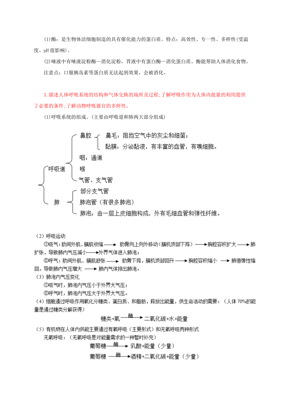 中考科学重点知识点人体的物质和能量新版浙教版_第2页