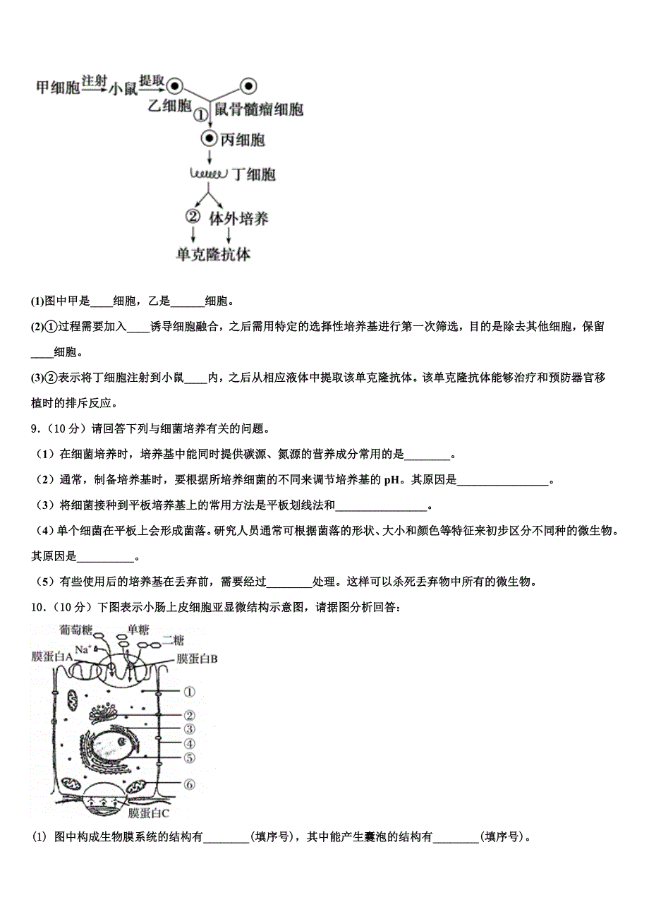 河南省开封市、商丘市九校2023学年高二生物第二学期期末质量检测试题（含解析）.doc_第3页