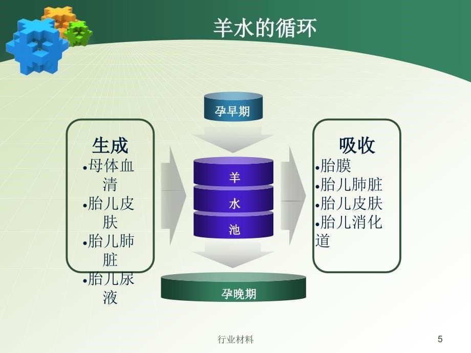 羊水异常羊水的形成和交换过多过少案例等行业特选_第5页