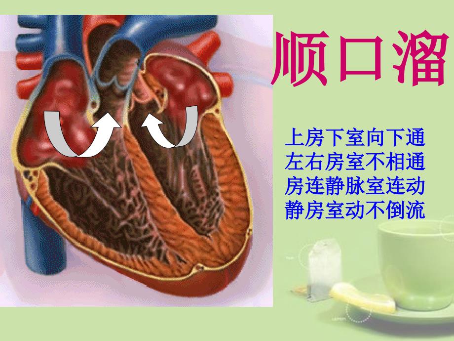 甘肃省会宁县七年级生物下册《人体生命活动的能量供给》课件_第4页