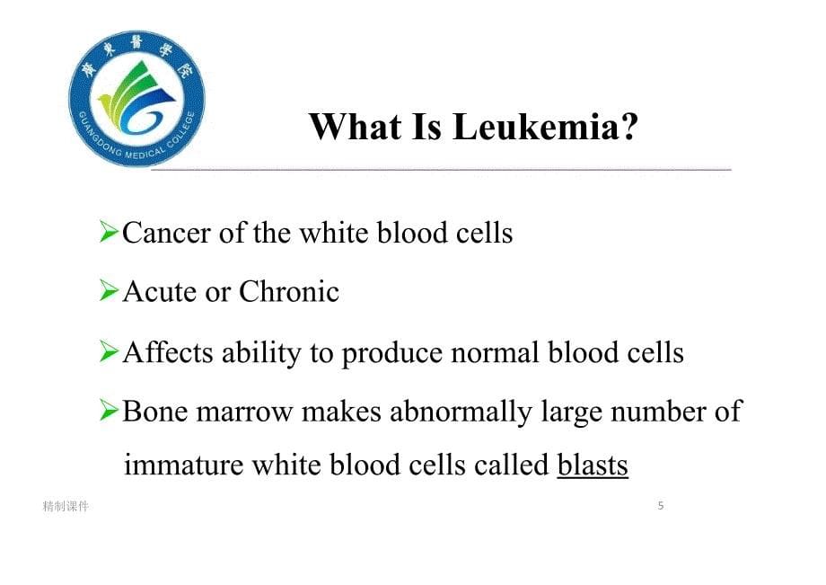 急性白血病概述（优质医学）_第5页