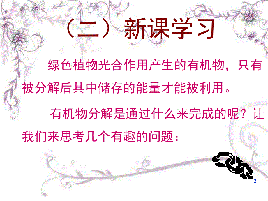 种子的呼吸课堂PPT_第3页