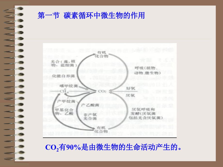 第八章微生物在自然界碳氮素循环中的作用季_第3页