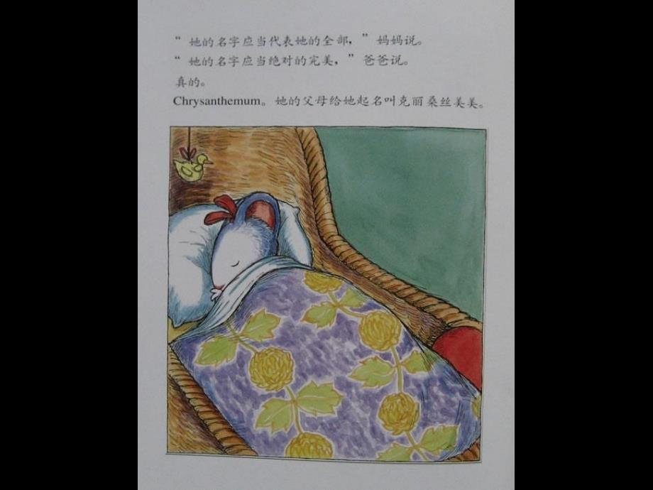 我名字克美美菊花丽桑丝_第4页