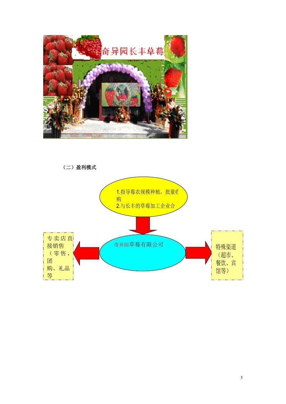 长丰草莓推广营销策划方0907.doc_第5页