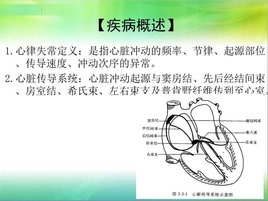 心律失常病人的护理查房PPT课件_第2页