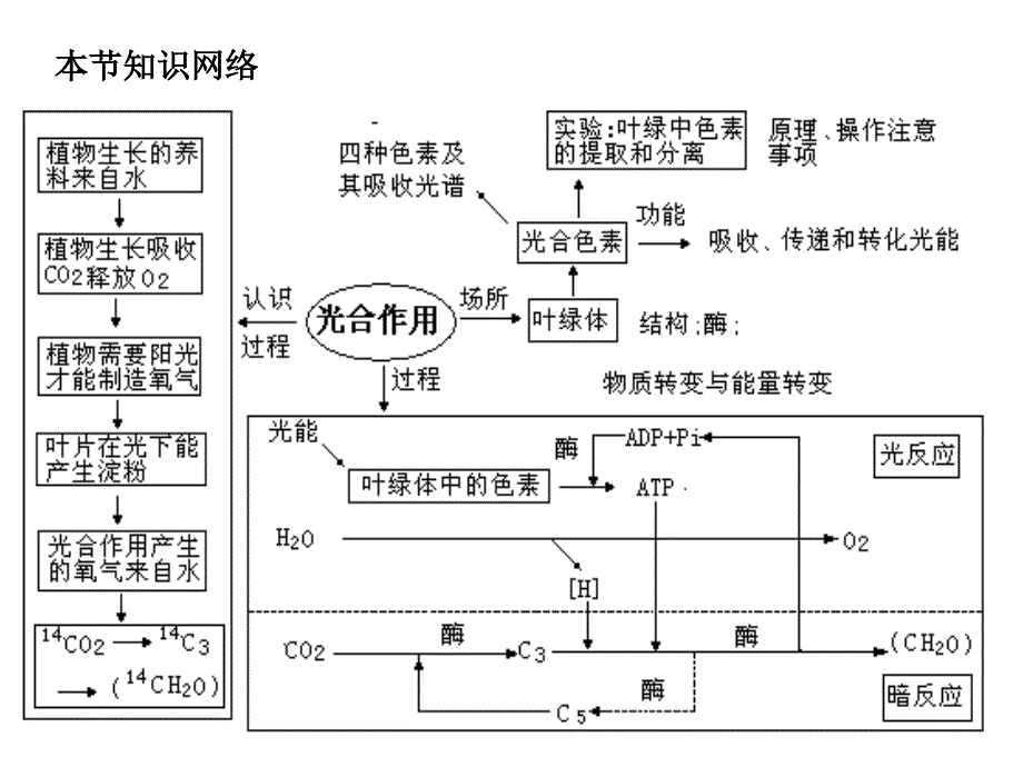 第4节能量之源—光与光合作用_第2页