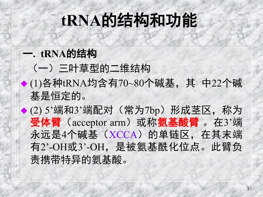 tRNA的结构和功能课堂PPT_第1页