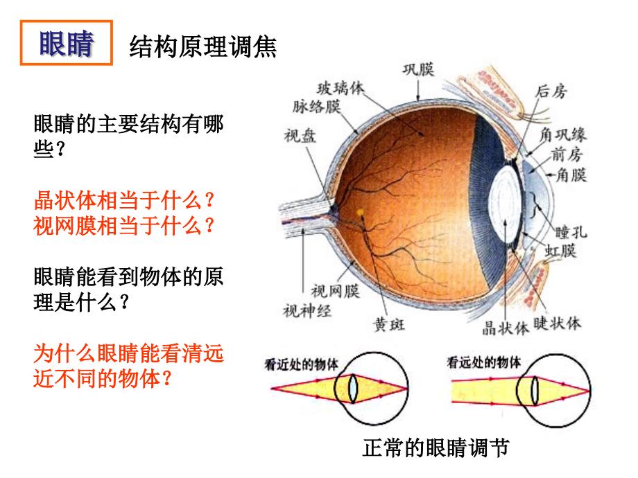 第四节 照相机与眼球 视力的矫正_第3页