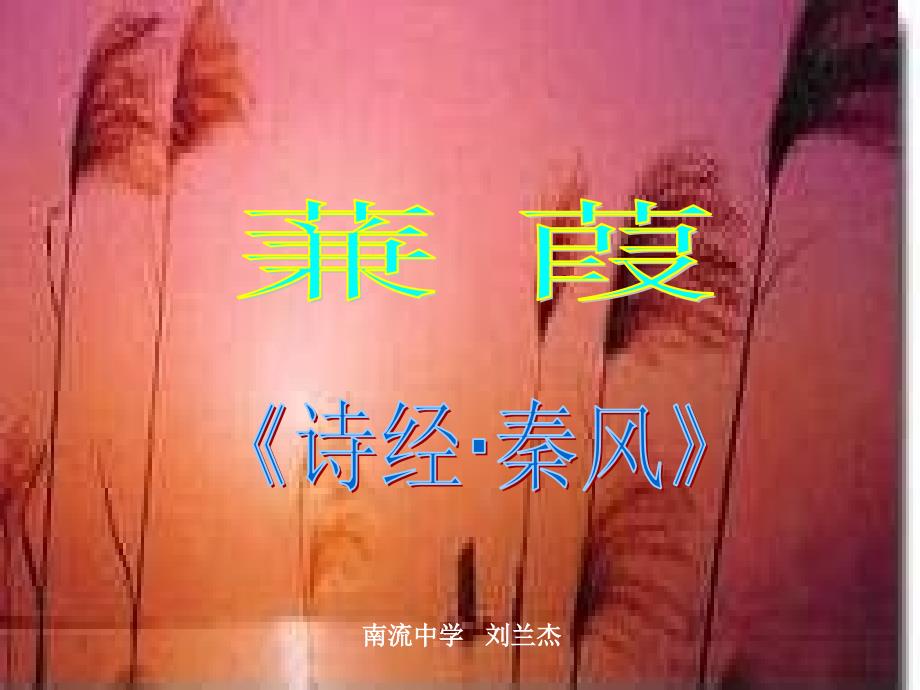 九年级语文蒹葭_第1页