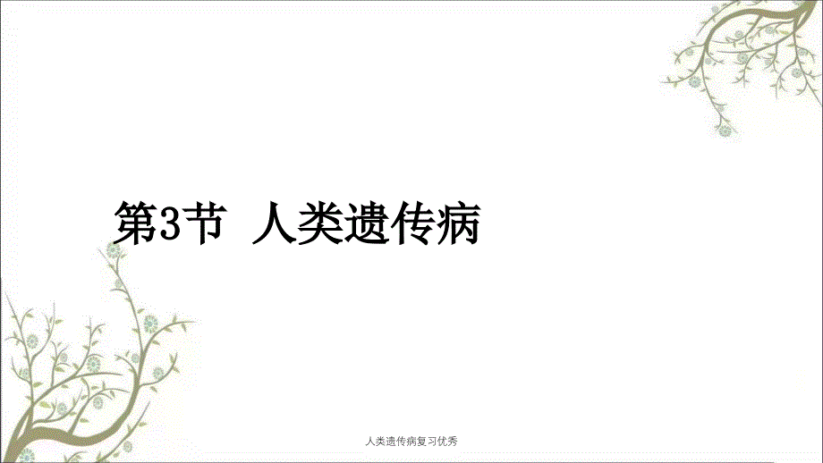 人类遗传病复习优秀_第1页