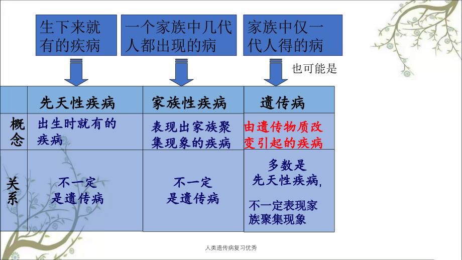 人类遗传病复习优秀_第2页