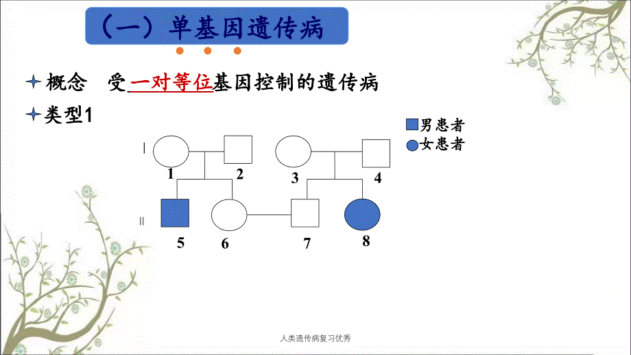 人类遗传病复习优秀_第4页