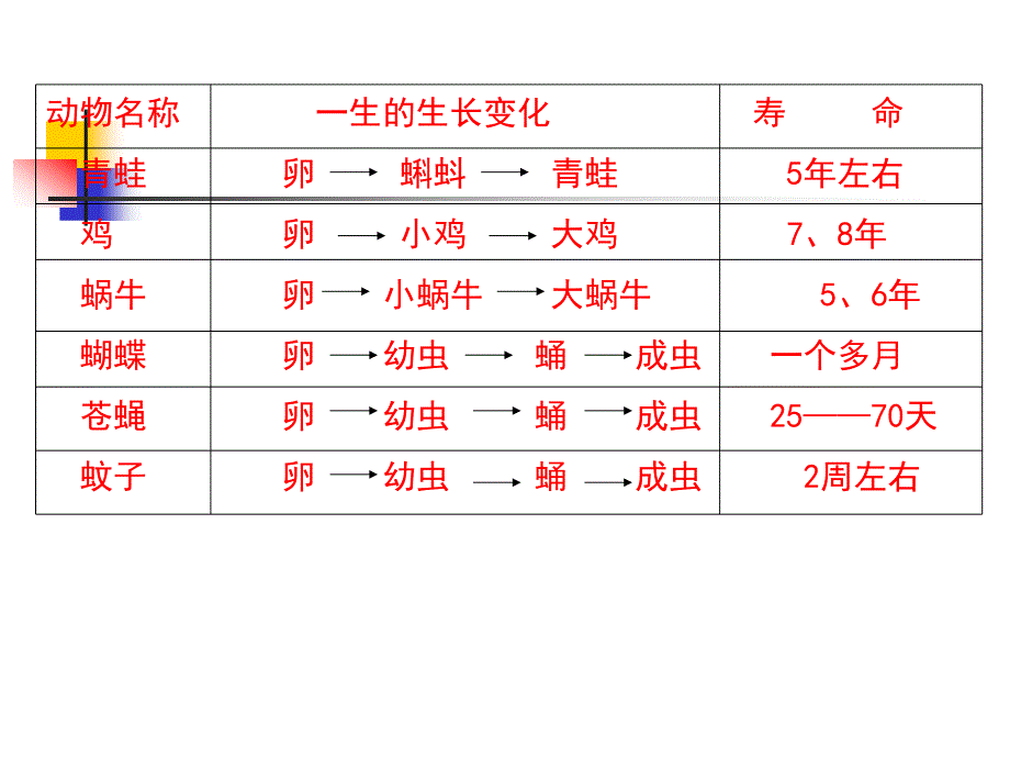 三年级科学下册《动物的生命周期》_第4页