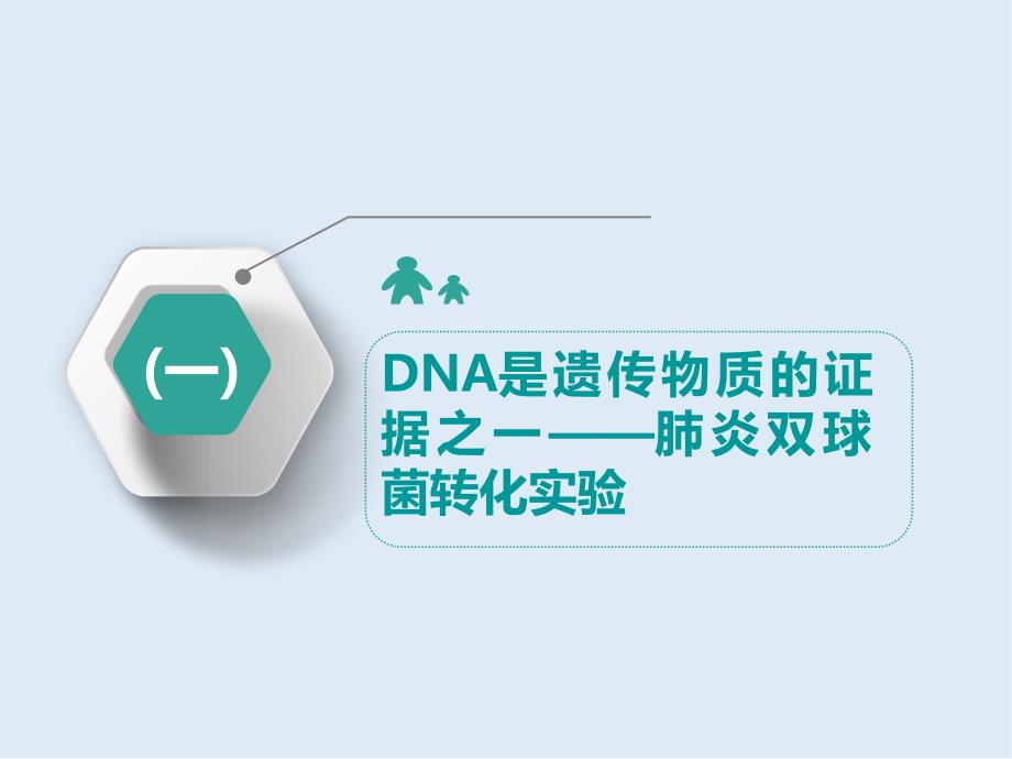 高中新创新一轮复习生物通用版课件：必修2 第二单元 第1讲 DNA是主要的遗传物质_第4页