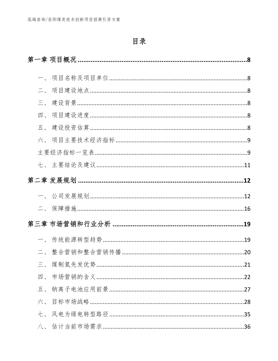 岳阳煤炭技术创新项目招商引资方案_模板范本_第2页