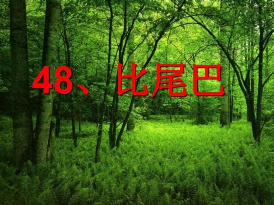 我来说一说大森林里有和参加比b赛_第5页