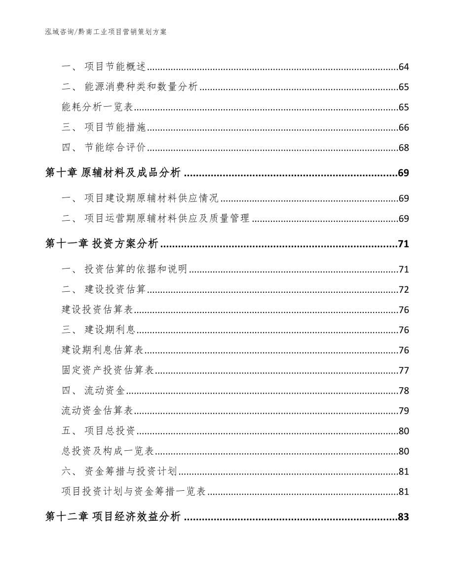 黔南工业项目营销策划方案（模板范本）_第5页