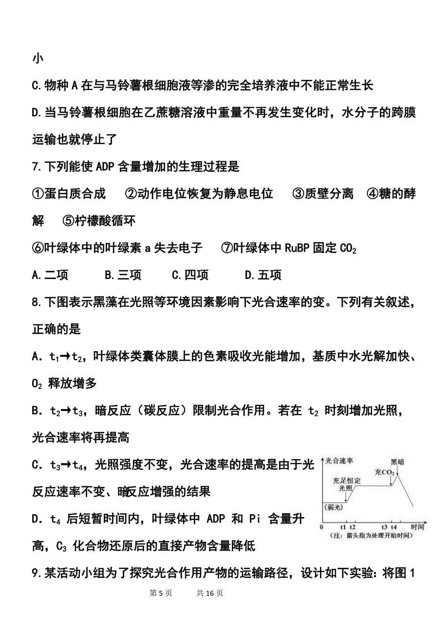 浙江省高中生物竞赛试卷及答案_第5页