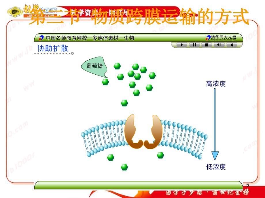 物质跨膜运输的方式_第5页