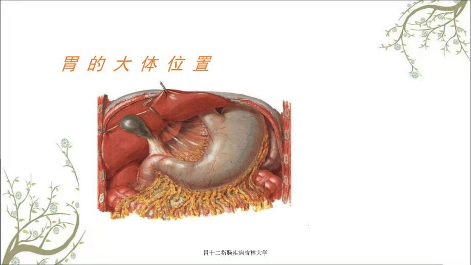 胃十二指肠疾病吉林大学_第4页