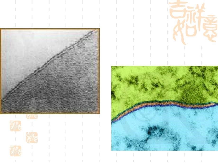 高一生物物质跨膜运输的方式_第5页