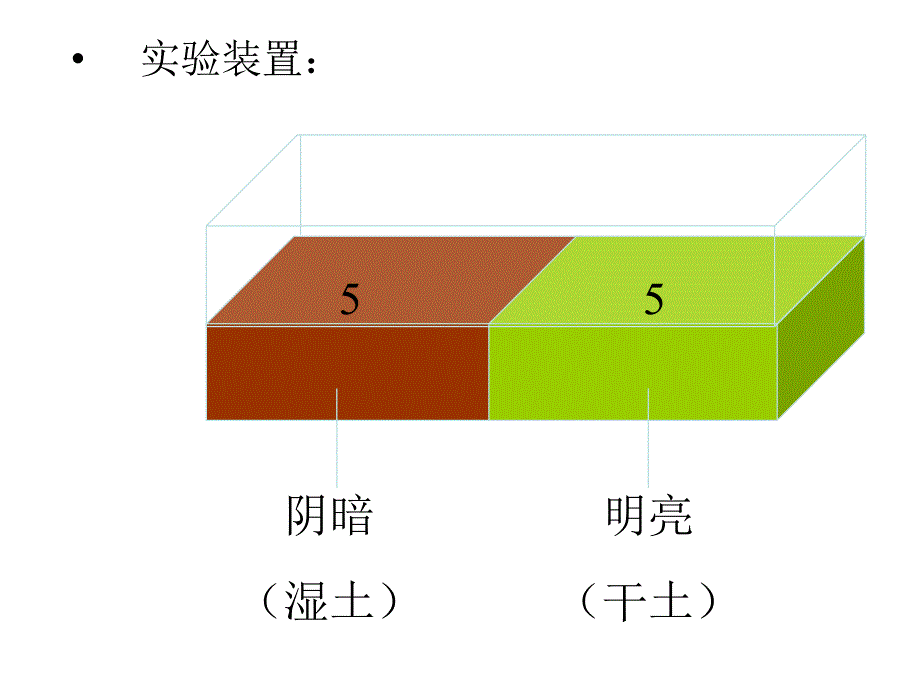 第一节___生物与环境的关系_第4页