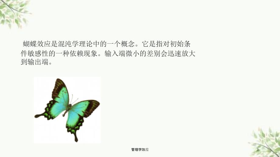 管理学效应课件_第3页